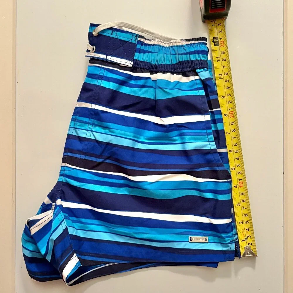 2xist Blue Striped Swim Shorts